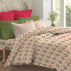 Earth Lover | Premium Bedsheet | Trident | Gulmohar